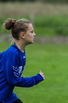 Bild 214 - C-Juniorinnen SG R�nnau-Segeberg - Kaltenkirchener Turnerschaft : Ergebnis: 1:3